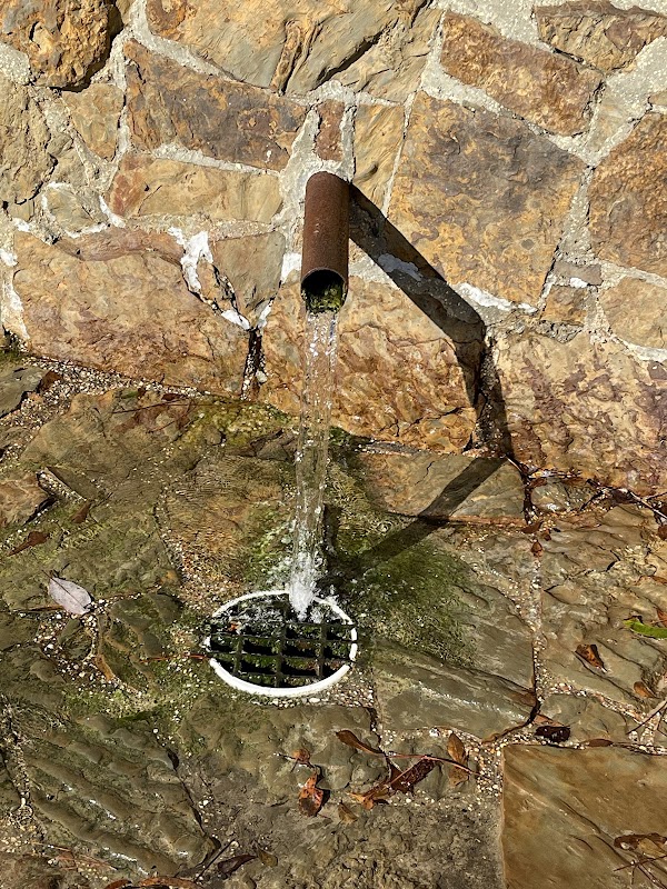 The Tranquil Retreat of Red Hill Spring - Red Hill Spring