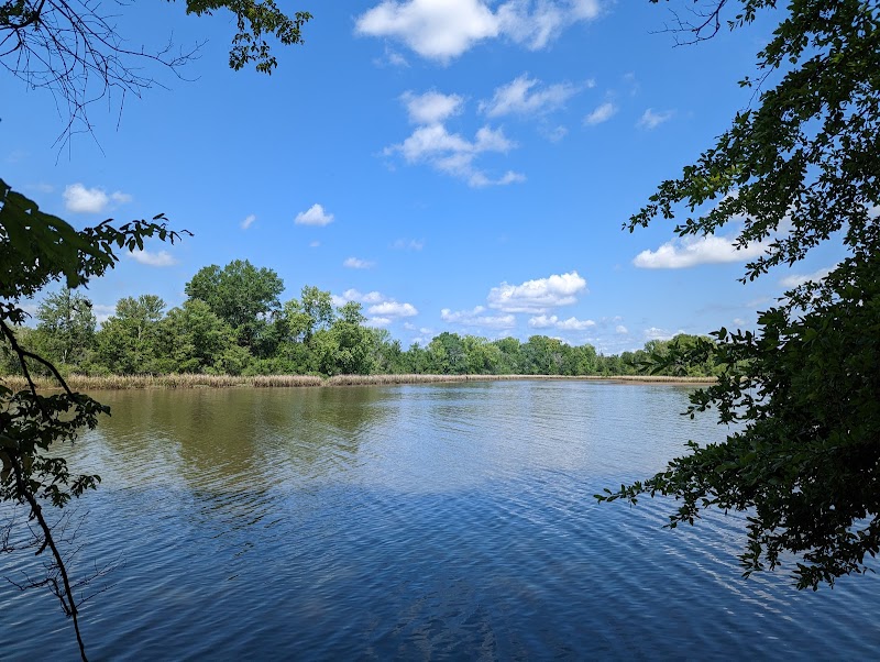 Discover the Natural Beauty of Standing Boy Trails surrounding landscape