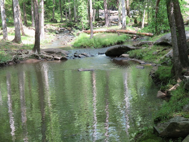 Discover the Charm of Phenix City Waterfall surrounding landscape
