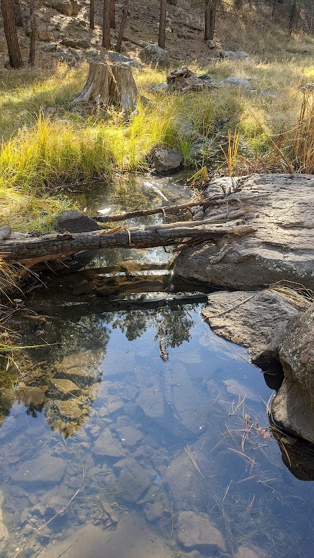 Tranquil Trails of Griffith Spring surrounding landscape