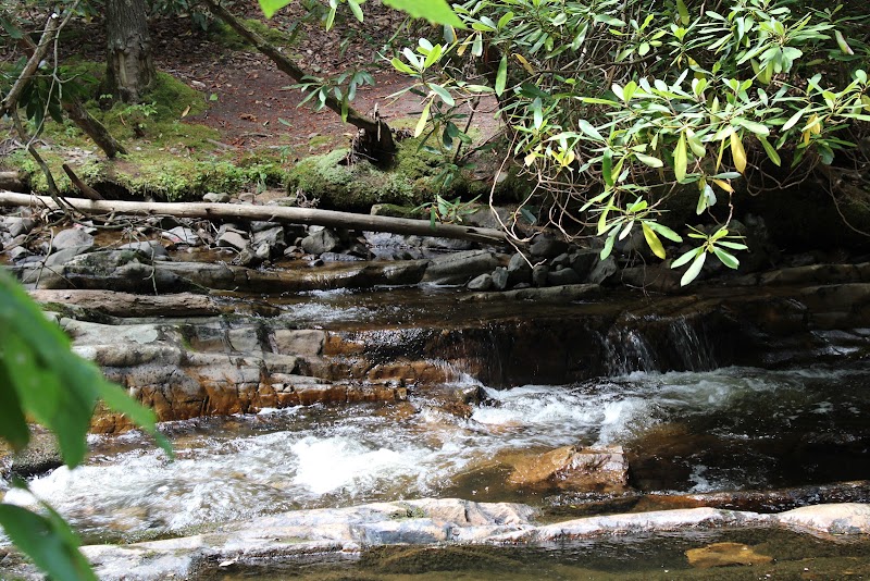Cascade Splendor at Laurel Falls - Laurel Falls