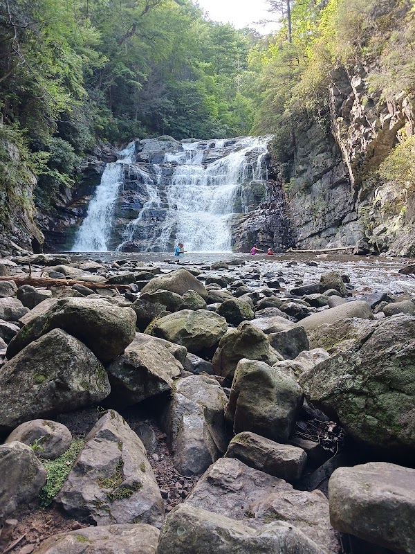 Cascade Splendor at Laurel Falls - Laurel Falls