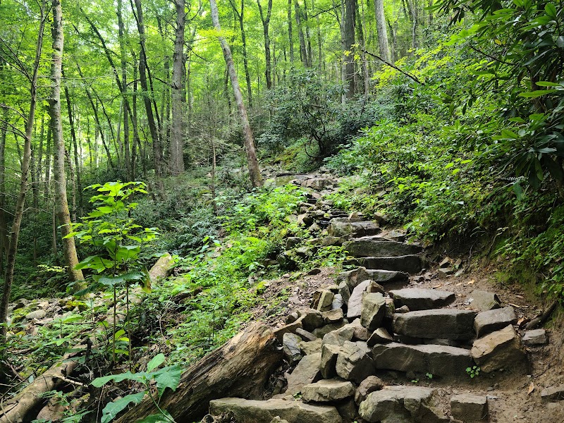Cascade Splendor at Laurel Falls - Laurel Falls