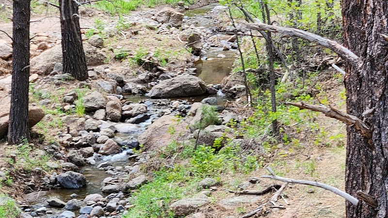 Nature Trail Adventure at Schultz Creek Trailhead surrounding landscape