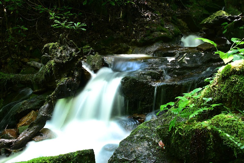 Coon Den Falls: A Hidden Gem in Tennessee - Coon Den Falls