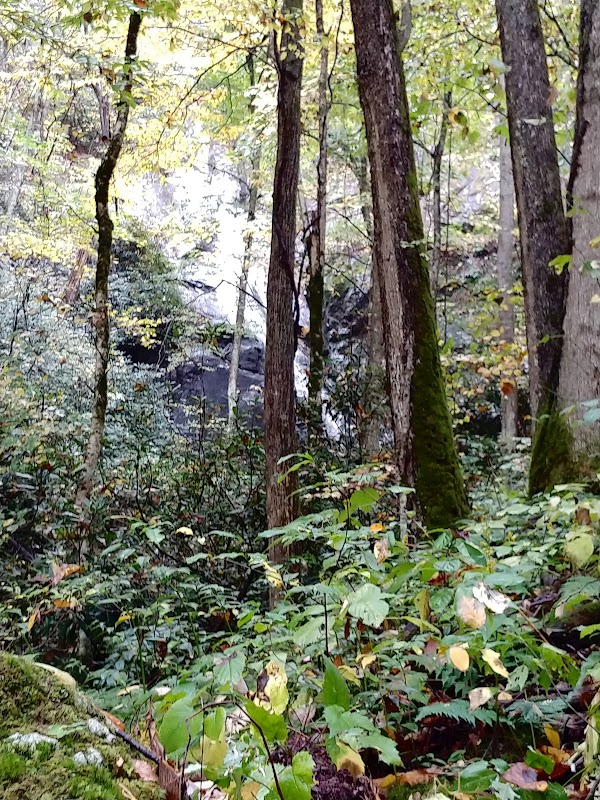 Coon Den Falls: A Hidden Gem in Tennessee outdoor detail
