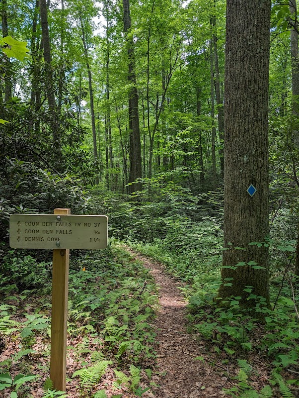Coon Den Falls: A Hidden Gem in Tennessee - Coon Den Falls