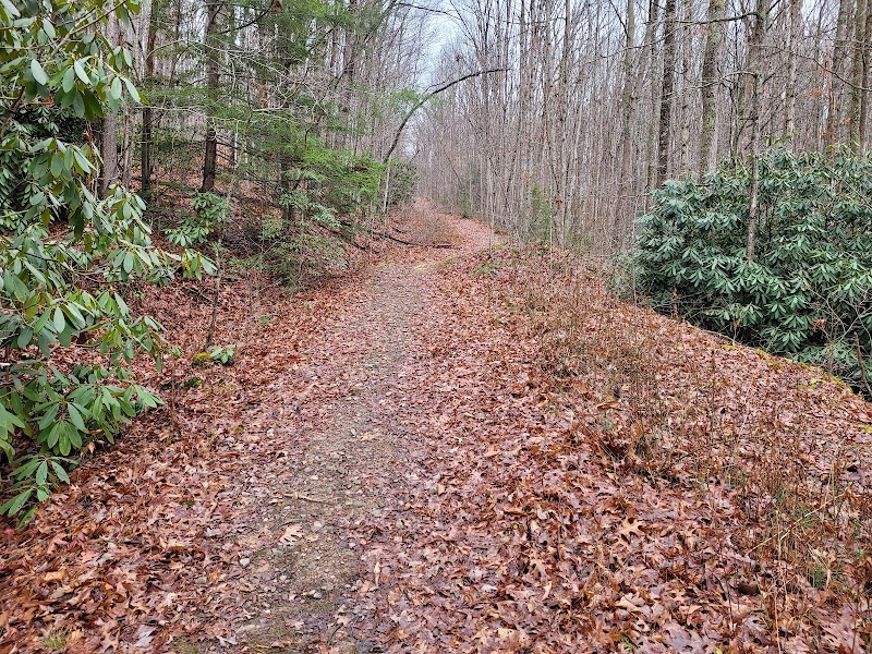 Bridge Trail Trailhead: Nature's Gateway in Fayetteville surrounding landscape