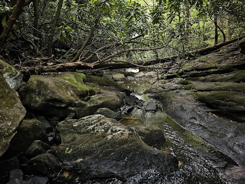 Unveiling Endless Wall: A West Virginia Hiking Gem outdoor detail