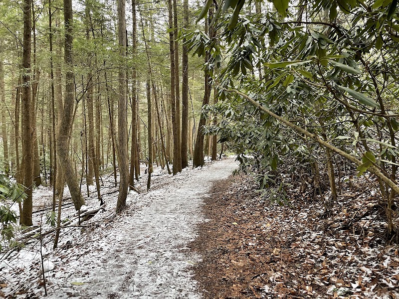 Unveiling Endless Wall: A West Virginia Hiking Gem surrounding landscape