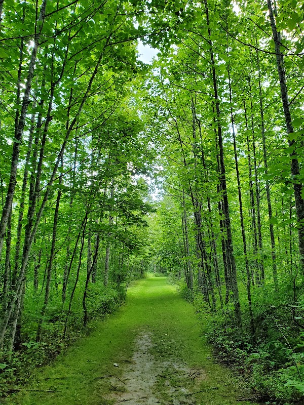 Gauley River Recreation Area adventures