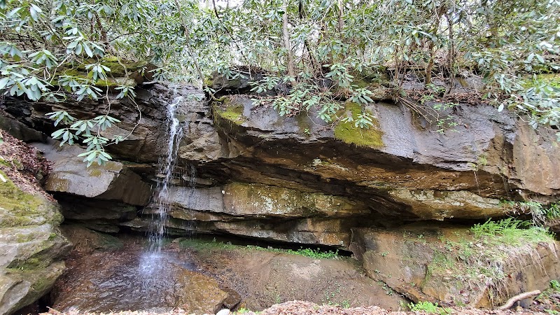 Cascading Beauty: Wolf Creek Falls outdoor detail