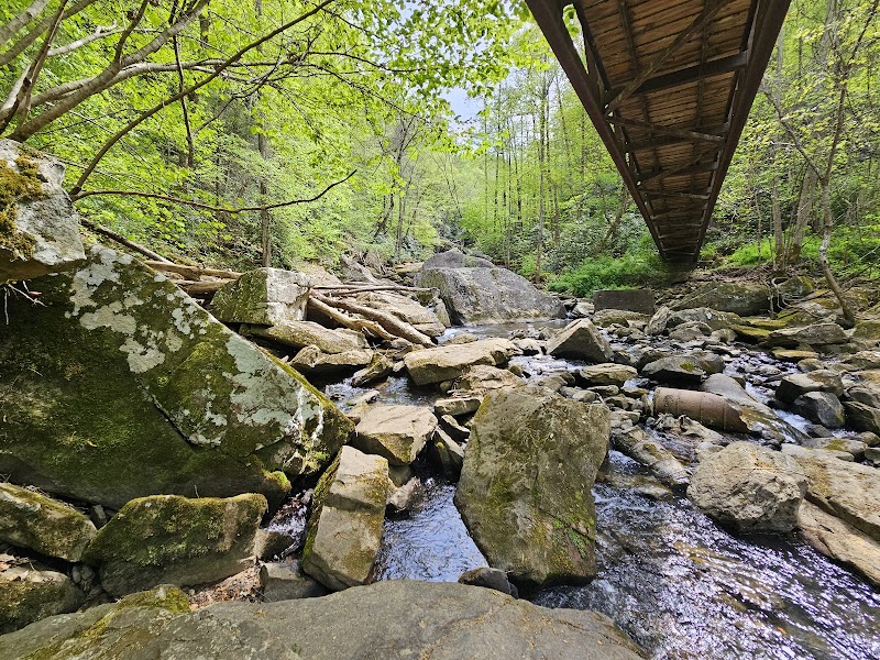 Cascading Beauty: Wolf Creek Falls - Wolf Creek Falls