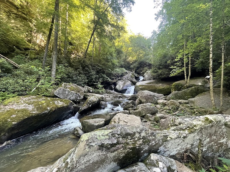 Cascading Beauty: Wolf Creek Falls surrounding landscape