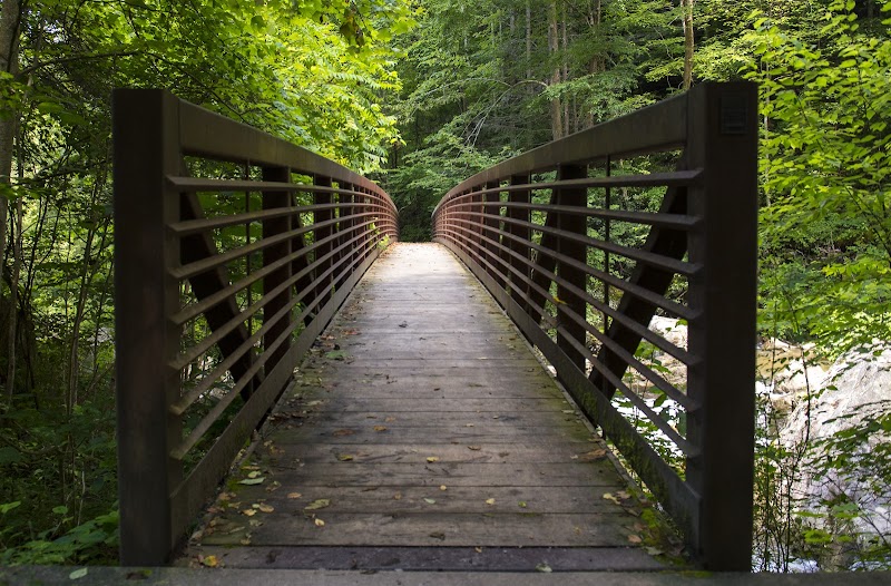 Creekside Wonders at Wolf Creek Trail Head, Fayetteville surrounding landscape