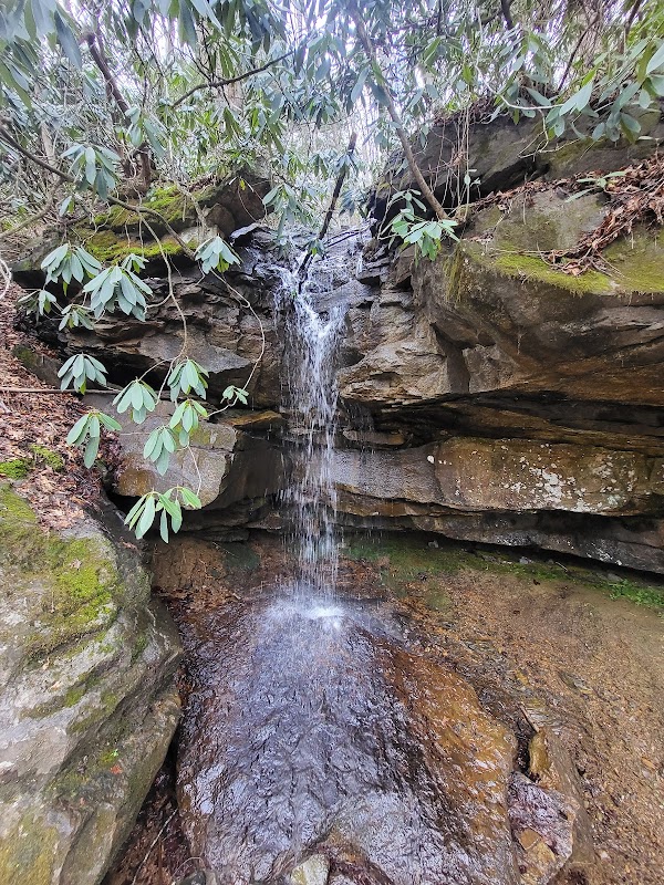 Cascading Beauty at Bridge over Wolf Creek - Bridge over Wolf Creek