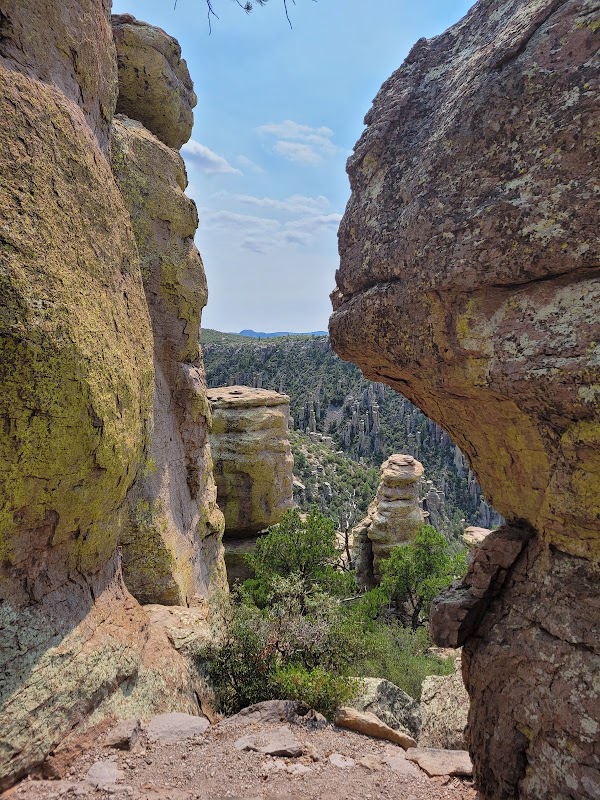 Chiricahua Peak: Arizona's Majestic Summit - Chiricahua Peak
