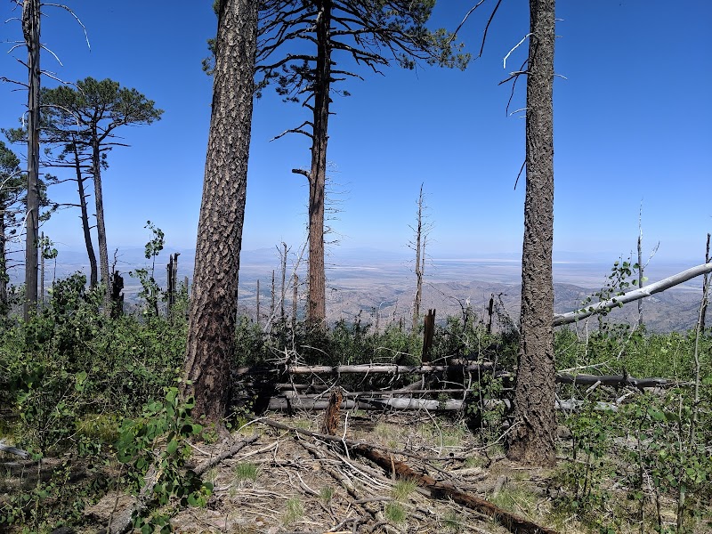 Chiricahua Peak: Arizona's Majestic Summit - Chiricahua Peak