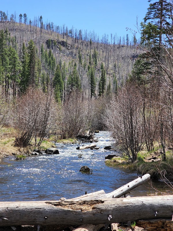 Discover the Serenity of Apache-Sitgreaves National Forests surrounding landscape