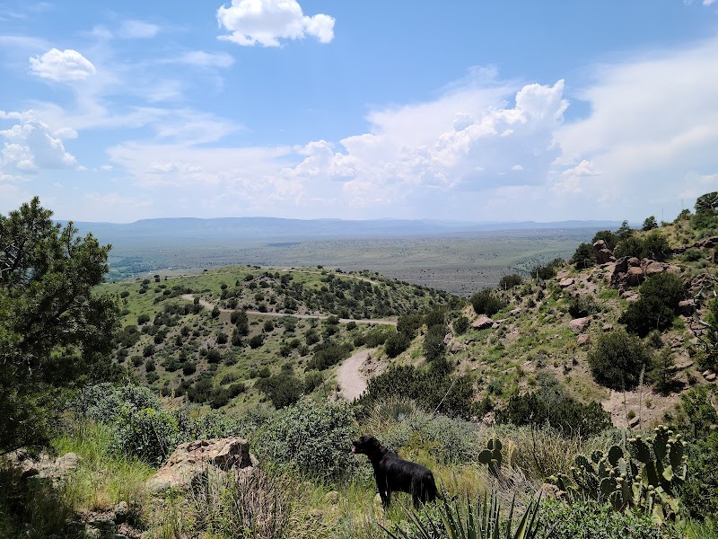 Discover the Natural Wonders of Gila National Forest outdoor detail