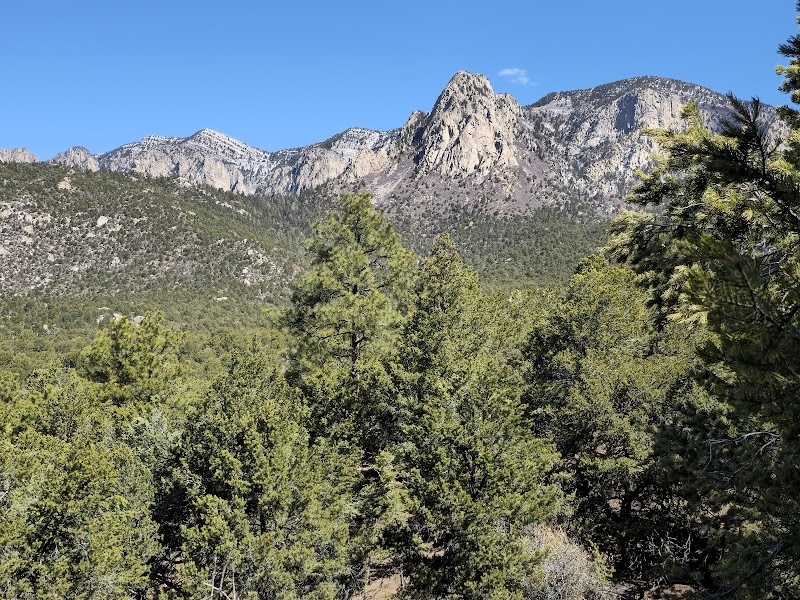 Adventures in Cibola National Forest - Cibola National Forest