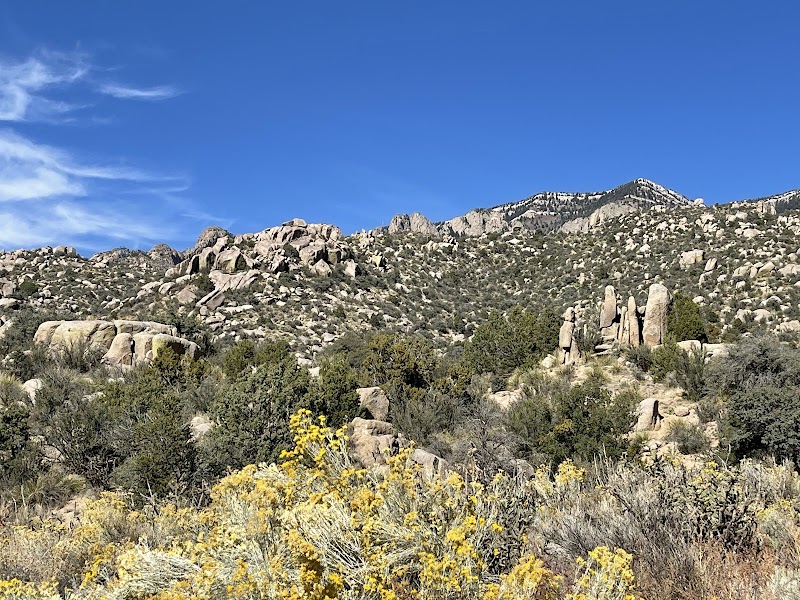 Adventures in Cibola National Forest - Cibola National Forest