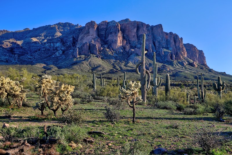 Discover the Wonders of Tonto National Forest - Tonto National Forest