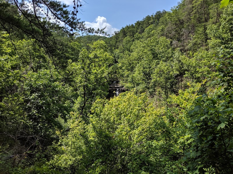 Discover the Beauty of Devil's Den Falls outdoor detail