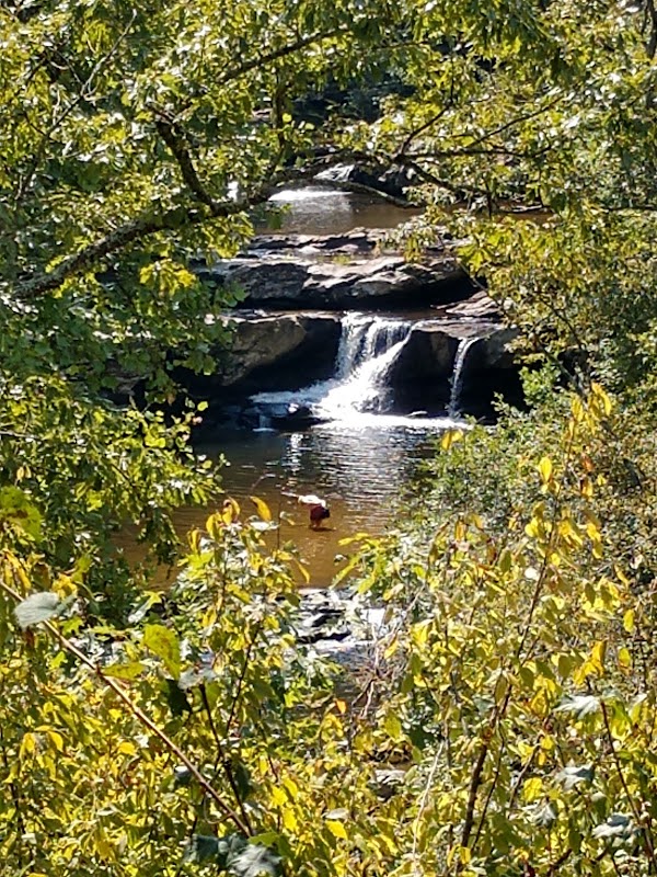 Discover the Beauty of Devil's Den Falls surrounding landscape