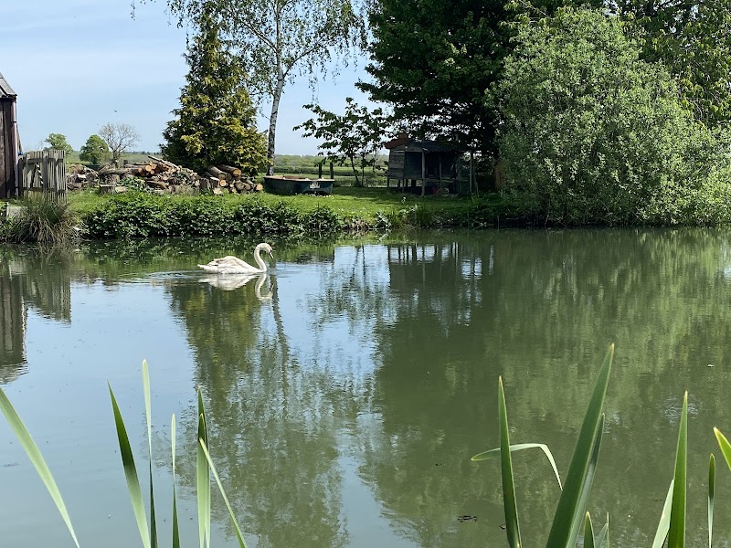 Serene Waters: Discover Chadlakes surrounding landscape
