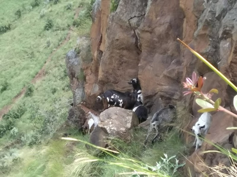 Discover the Wonders of Menengai - Menengai