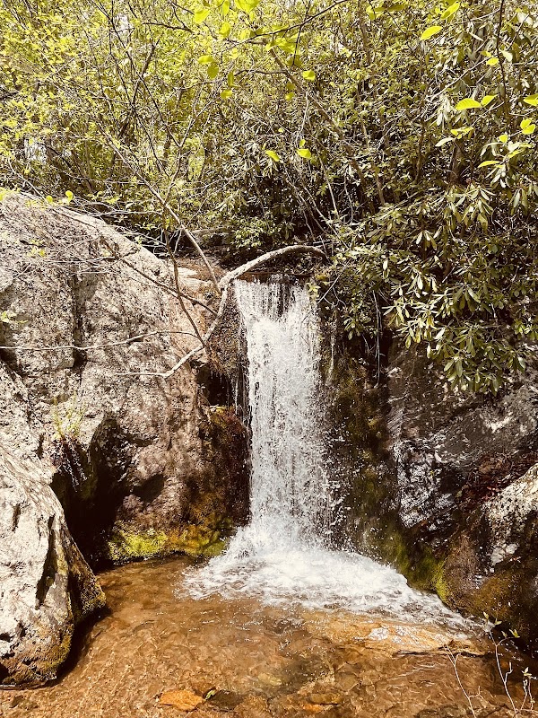 Discover Toms Creek Falls Trail: A Natural Wonder in Marion, NC surrounding landscape