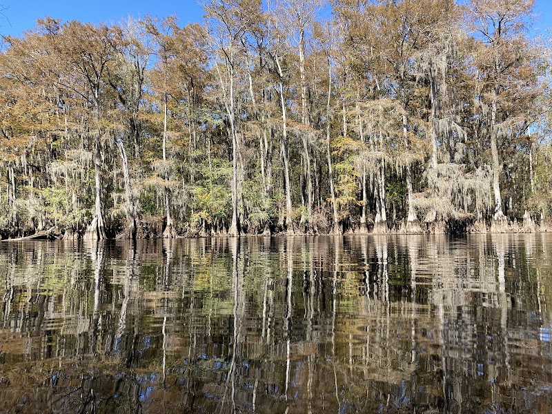 The Wonders of The Falls in South Carolina - The Falls