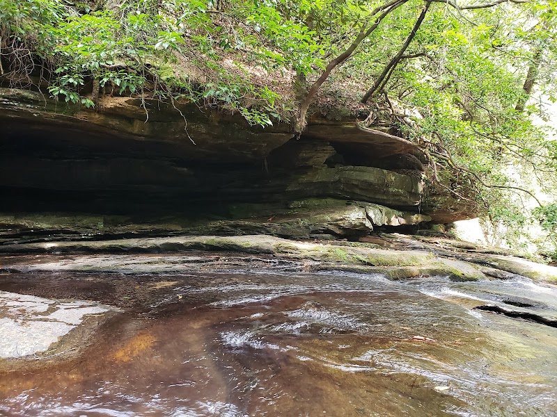 Discover the Tranquil Beauty of Carrick Creek Falls outdoor detail