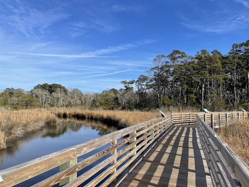 Nature's Haven: Currituck Banks Maritime Forest Trail Lookout - Currituck Banks Maritime Forest Trail Lookout