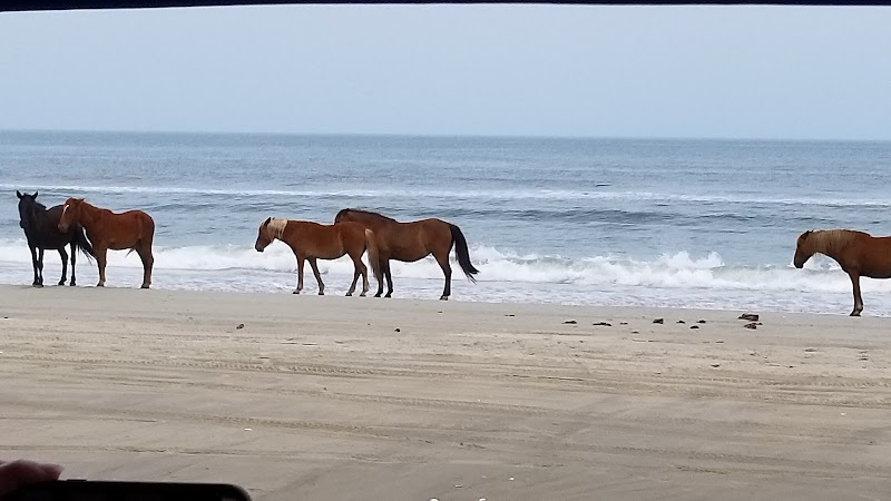 Wonders of Currituck Outer Banks - Currituck Outer Banks Preserve Dedicated Nature Preserve