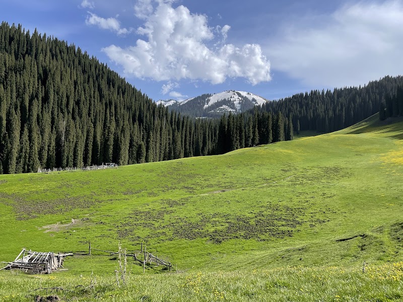 Discover the Wonders of Qiaxi Forest Park - Qiaxi Forest Park