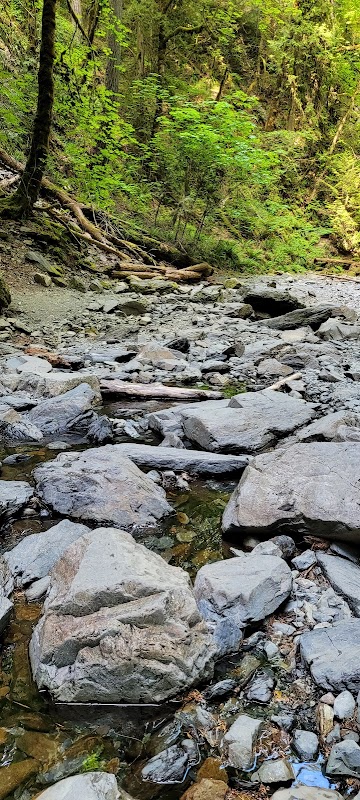 Nature's Cascade: Niagara Falls in Langford, BC outdoor detail