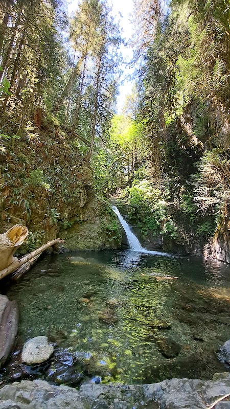 Nature's Cascade: Niagara Falls in Langford, BC surrounding landscape