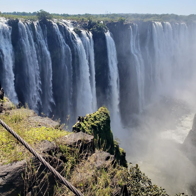 Wild Wonders at Victoria Falls Crocodile Park - Victoria Falls Crocodile Park