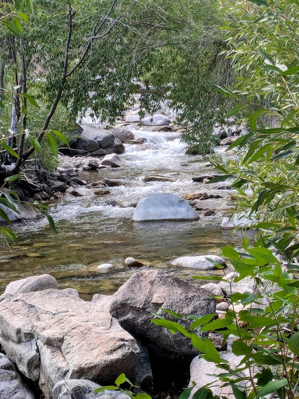 Serenity by the Stream: Grizzly Creek Trailhead - Grizzly Creek Trailhead