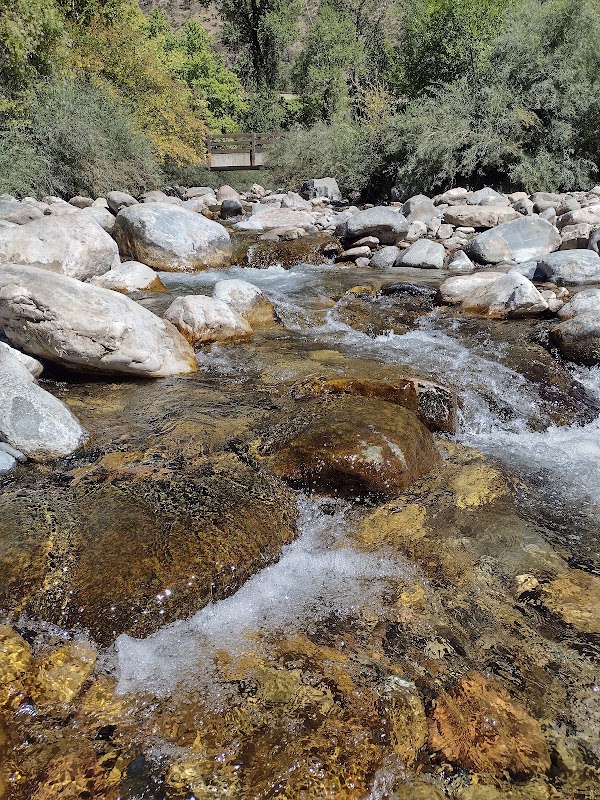 Serenity by the Stream: Grizzly Creek Trailhead outdoor detail