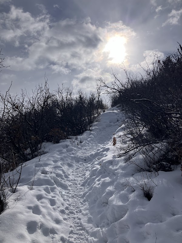 Majestic Trails at Red Mtn / Jeanne Golay Trailhead outdoor detail
