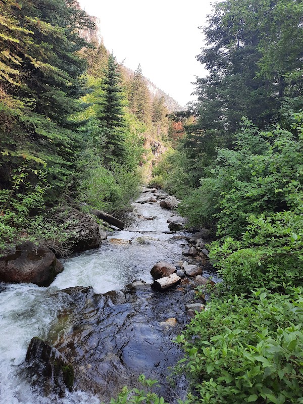 Nature's Retreat: Jess Weaver Trailhead surrounding landscape