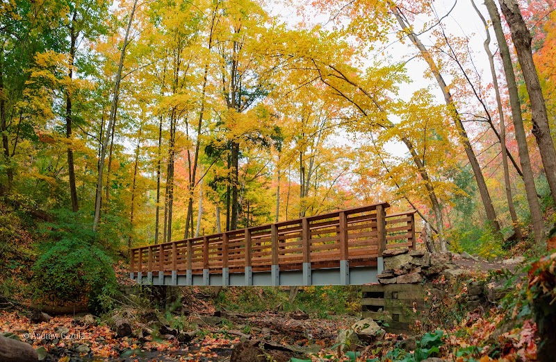Discover the Grace of Tiffany Falls, Hamilton outdoor detail