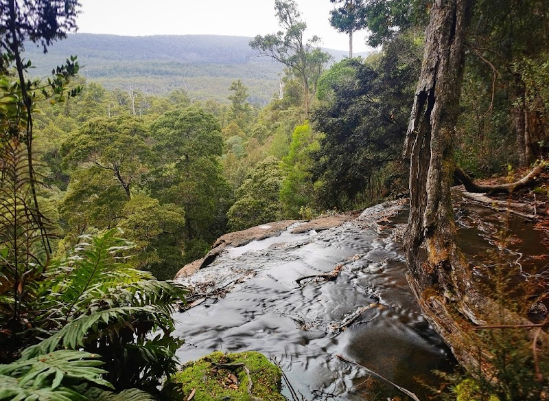 Cascading Beauty: Discovering Russell Falls - Russell Falls
