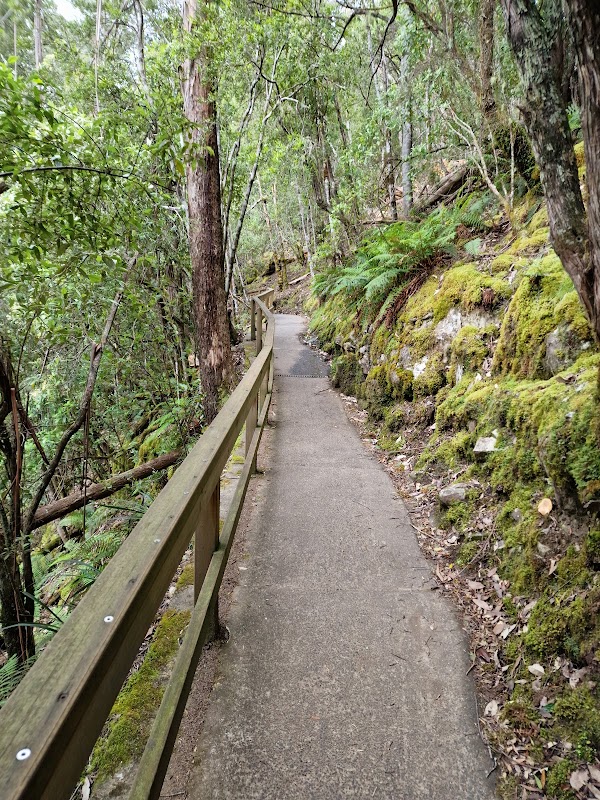 Cascading Beauty: Discovering Russell Falls outdoor detail
