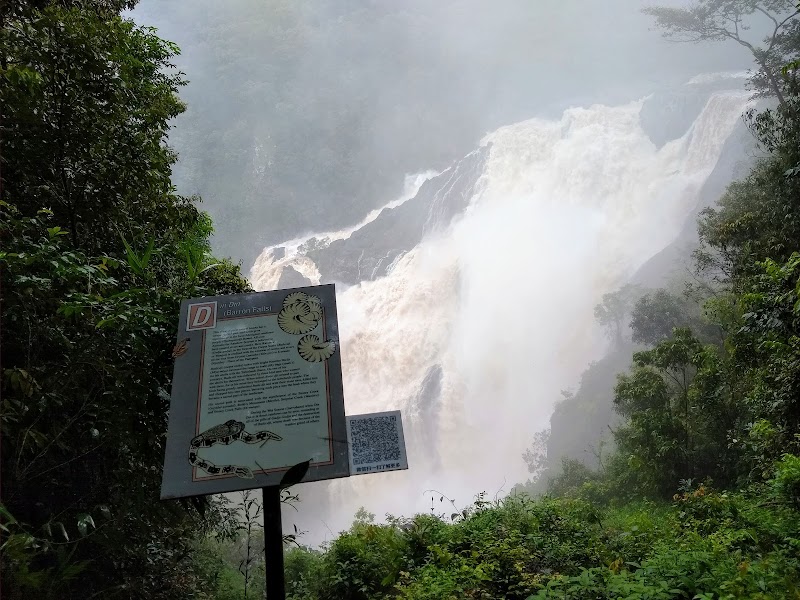 Majestic Cascades of Barron Falls - Barron Falls