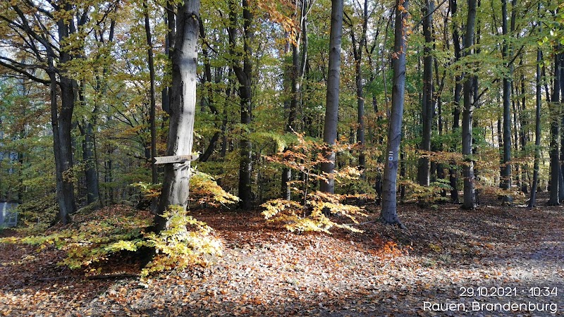 Autumn Splendor in Rauen Hills - Rauen Hills
