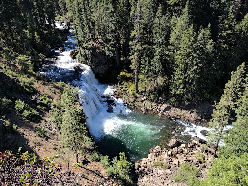 Discover the Majestic McCloud River Falls surrounding landscape